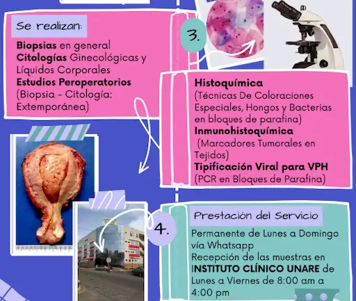 Dra. Ana Delia Mazo - Anatomopatólogo y Psiquiatra 3 Médico Venezuela Consultorio de Patología - Clínica Unare - Dra. Ana Delia Mazo - Estudios